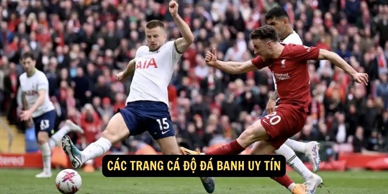 Các trang cá độ đá banh uy tín