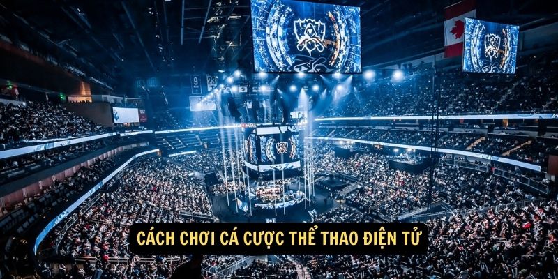 Cách chơi cá cược thể thao điện tử