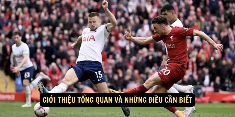 Giới thiệu tổng quan và những điều cần biết