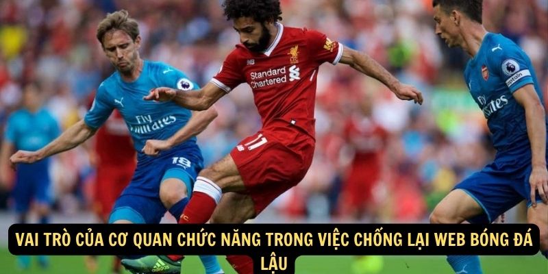 Vai trò của cơ quan chức năng trong việc chống lại web bóng đá lậu