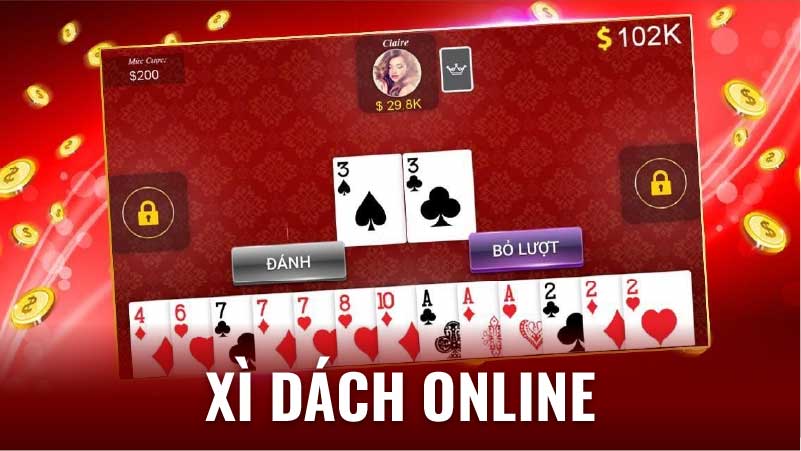 xi dach online 1