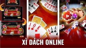 xi dach online 3