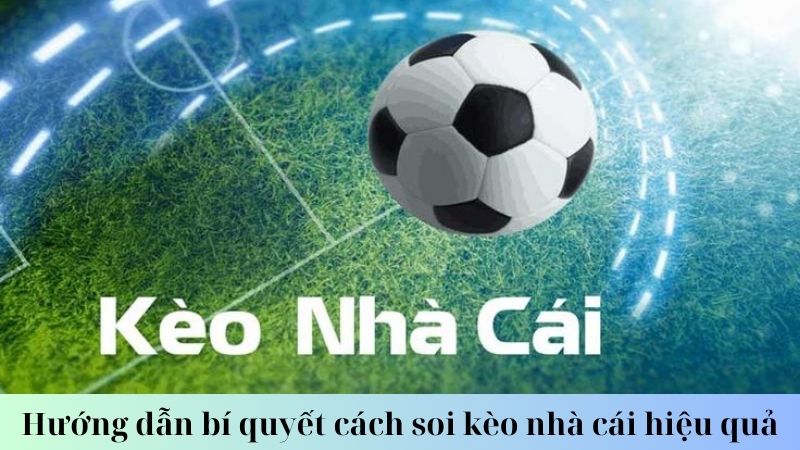 Cách soi kèo nhà cái: Các loại kèo phổ biến trong cá cược