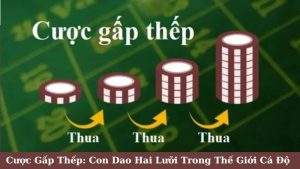 Quản Lý Vốn Hiệu Quả