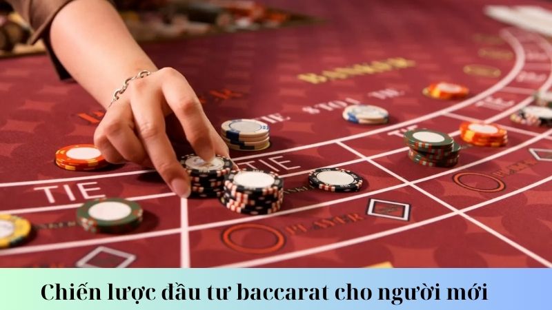 Các chiến lược đầu tư Baccarat phổ biến