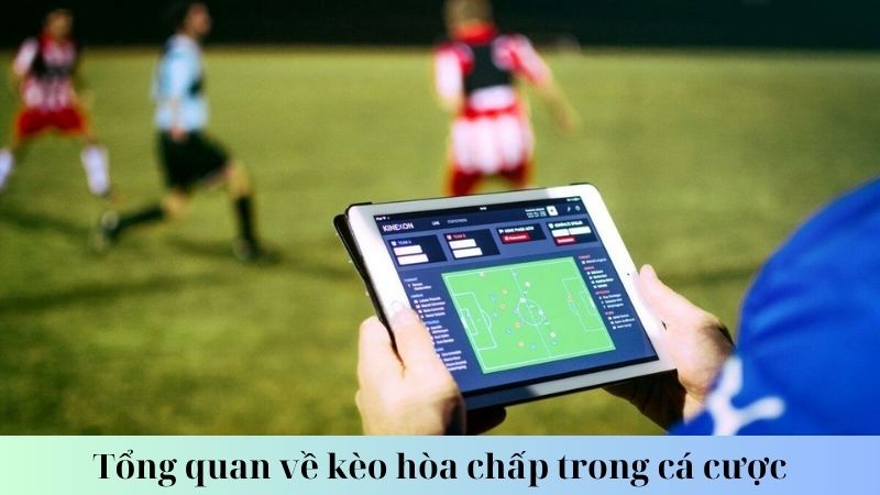 Cách tính kèo hòa chấp