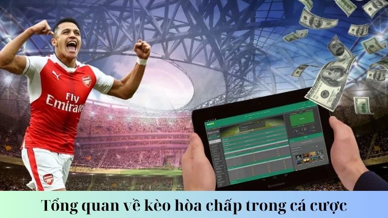 Chiến lược cá cược kèo hòa chấp