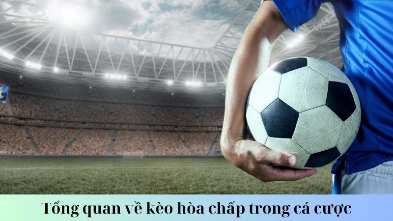 Các yếu tố ảnh hưởng đến tỷ lệ kèo hòa chấp tại SHBET88