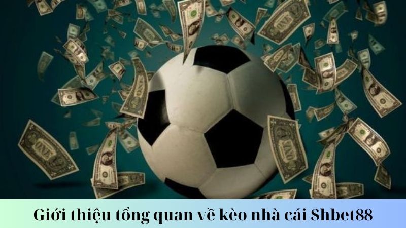 Kinh nghiệm đặt kèo nhà cái Shbet88