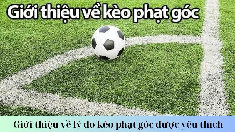 Chiến thuật cá cược kèo phạt góc hiệu quả