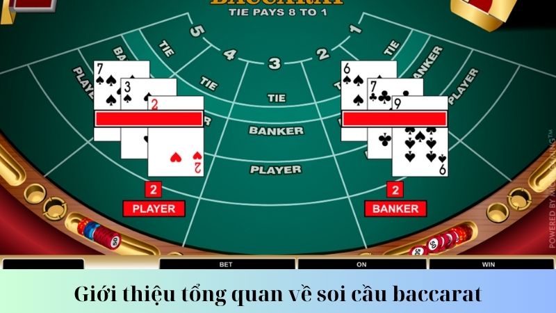 Tâm lý khi soi cầu baccarat