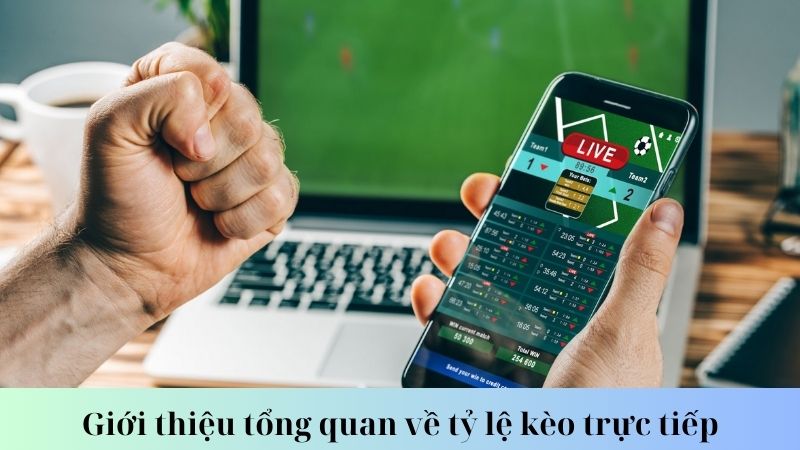 Chiến lược cá cược hiệu quả với tỷ lệ kèo trực tiếp