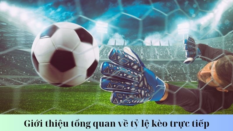 Nên theo dõi tỷ lệ kèo trực tiếp ở đâu?