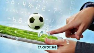 ca cuoc 365 4