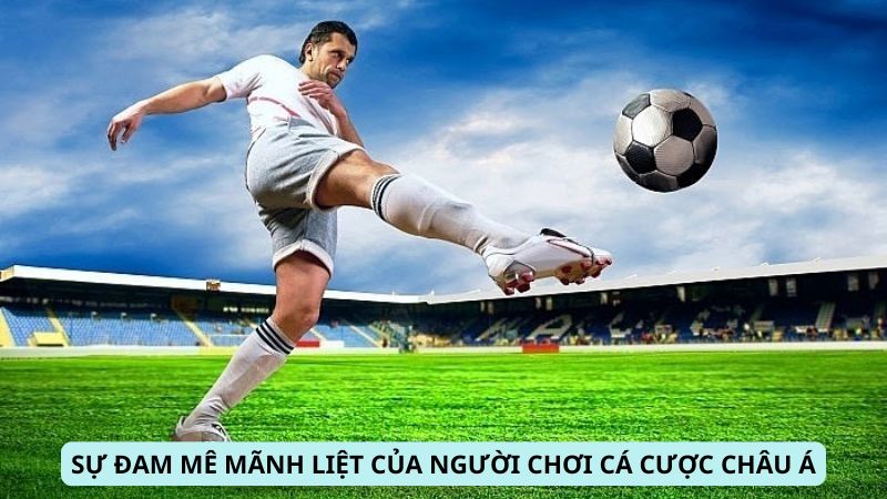 Sự đam mê mãnh liệt của người chơi Cá Cược Châu Á