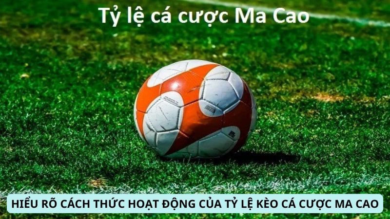 Hiểu rõ cách thức hoạt động của Tỷ Lệ Kèo Cá Cược Ma Cao