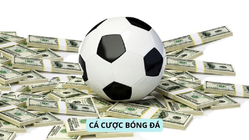 Cá Cược Nhà Cái: Cá cược bóng đá