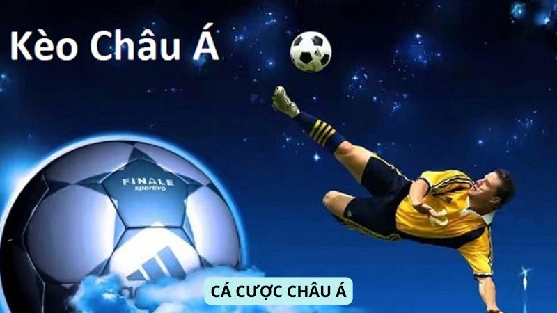 Cá cược Châu Á