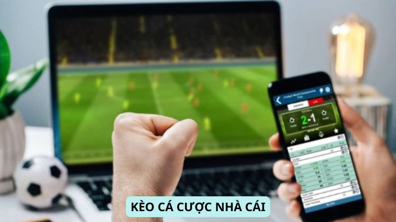 Kèo Cá Cược Nhà Cái