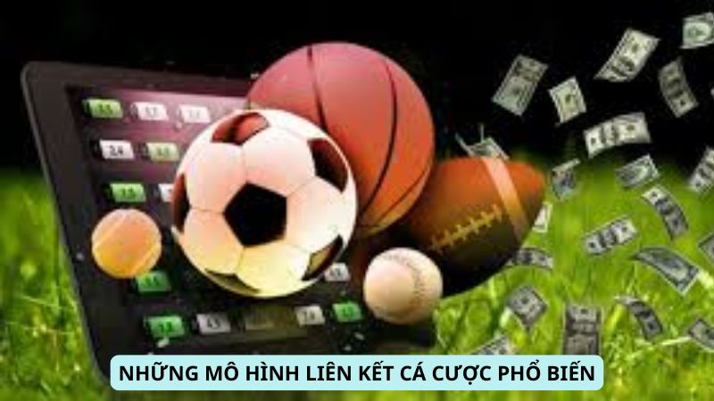 Những mô hình liên kết cá cược phổ biến