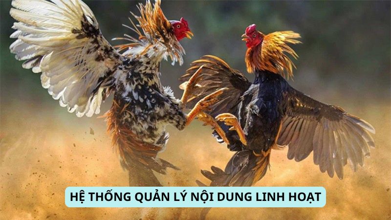 Hệ thống quản lý nội dung linh hoạt