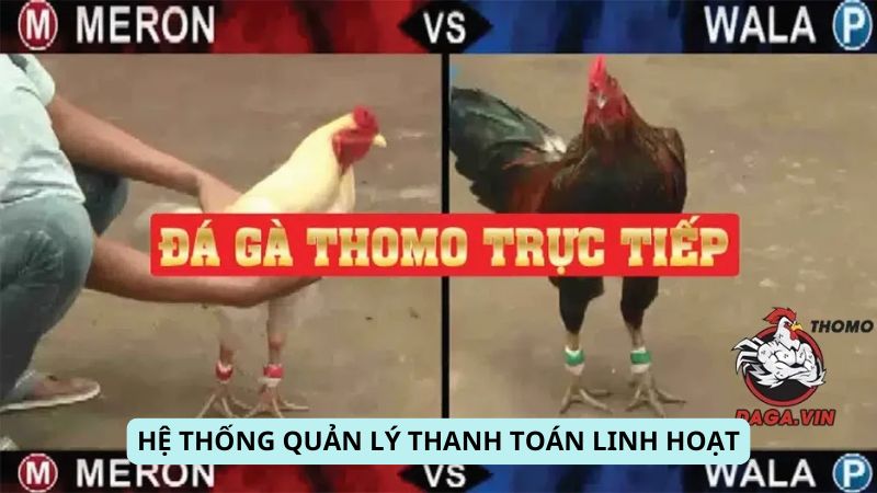 Hệ thống quản lý thanh toán linh hoạt