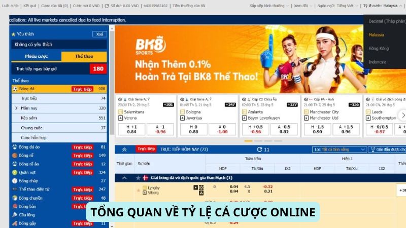 Tổng quan về Tỷ Lệ Cá Cược Online