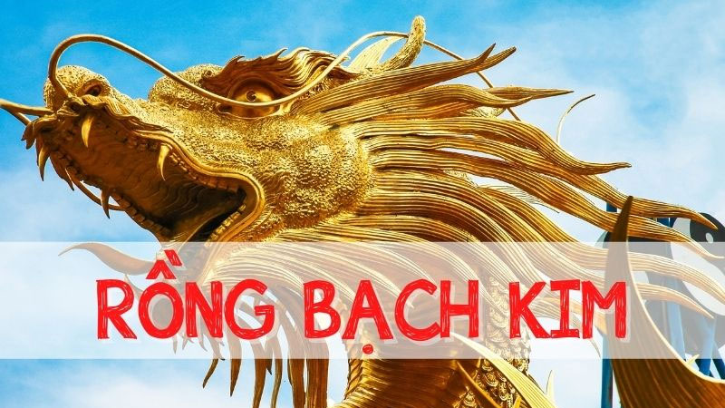 Soi cầu Rồng Bạch Kim 666 là gì:  Các phương pháp dự đoán